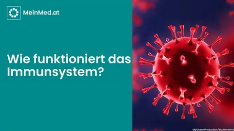 Wie Stress das Immunsystem schwächt und was man dagegen tun kann
