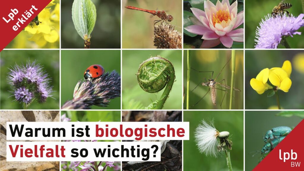 Warum regelmäßige Bewegung das biologische Alter senkt